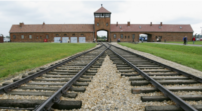 A train tracks leading to Auschwitz concentration camp

Description automatically generated